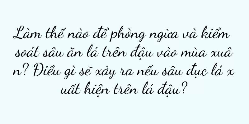 Làm thế nào để phòng ngừa và kiểm soát sâu ăn lá trên đậu vào mùa xuân? Điều gì sẽ xảy ra nếu sâu đục lá xuất hiện trên lá đậu?