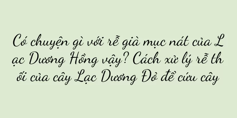 Có chuyện gì với rễ già mục nát của Lạc Dương Hồng vậy? Cách xử lý rễ thối của cây Lạc Dương Đỏ để cứu cây