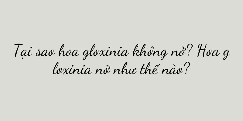 Tại sao hoa gloxinia không nở? Hoa gloxinia nở như thế nào?