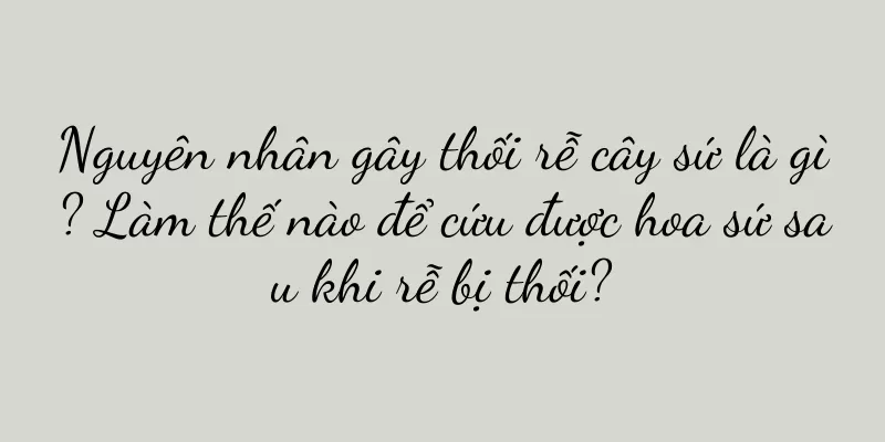Nguyên nhân gây thối rễ cây sứ là gì? Làm thế nào để cứu được hoa sứ sau khi rễ bị thối?