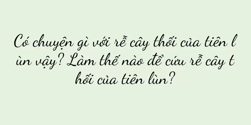 Có chuyện gì với rễ cây thối của tiên lùn vậy? Làm thế nào để cứu rễ cây thối của tiên lùn?