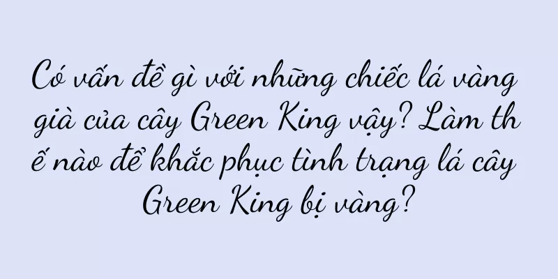 Có vấn đề gì với những chiếc lá vàng già của cây Green King vậy? Làm thế nào để khắc phục tình trạng lá cây Green King bị vàng?