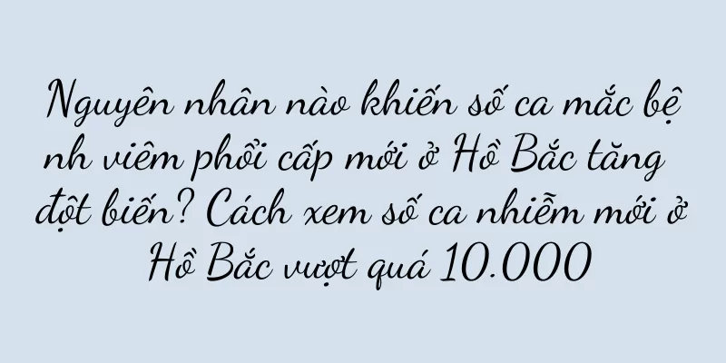 Nguyên nhân nào khiến số ca mắc bệnh viêm phổi cấp mới ở Hồ Bắc tăng đột biến? Cách xem số ca nhiễm mới ở Hồ Bắc vượt quá 10.000