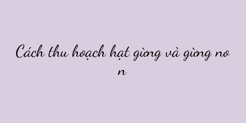 Cách thu hoạch hạt gừng và gừng non