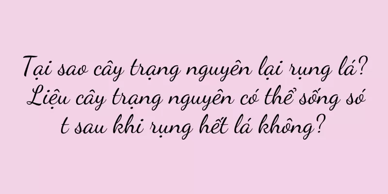 Tại sao cây trạng nguyên lại rụng lá? Liệu cây trạng nguyên có thể sống sót sau khi rụng hết lá không?