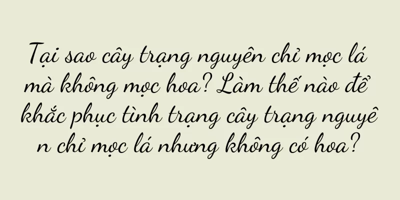 Tại sao cây trạng nguyên chỉ mọc lá mà không mọc hoa? Làm thế nào để khắc phục tình trạng cây trạng nguyên chỉ mọc lá nhưng không có hoa?