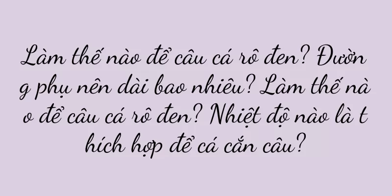 Làm thế nào để câu cá rô đen? Đường phụ nên dài bao nhiêu? Làm thế nào để câu cá rô đen? Nhiệt độ nào là thích hợp để cá cắn câu?