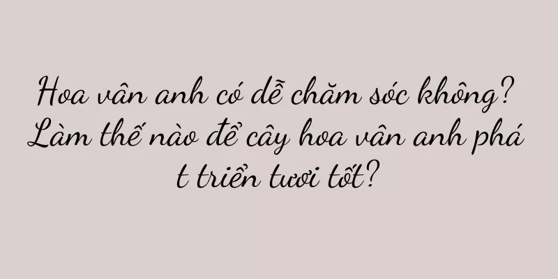 Hoa vân anh có dễ chăm sóc không? Làm thế nào để cây hoa vân anh phát triển tươi tốt?