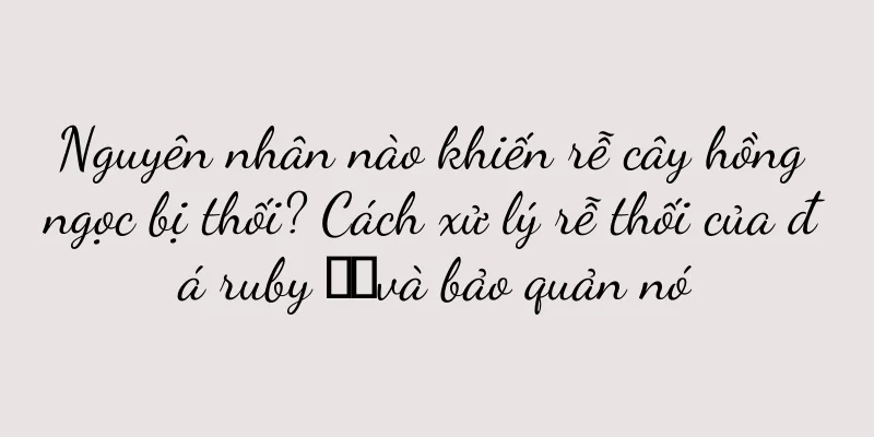 Nguyên nhân nào khiến rễ cây hồng ngọc bị thối? Cách xử lý rễ thối của đá ruby ​​và bảo quản nó