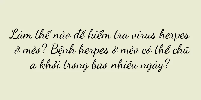 Làm thế nào để kiểm tra virus herpes ở mèo? Bệnh herpes ở mèo có thể chữa khỏi trong bao nhiêu ngày?
