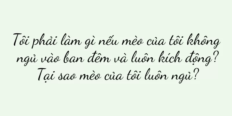 Tôi phải làm gì nếu mèo của tôi không ngủ vào ban đêm và luôn kích động? Tại sao mèo của tôi luôn ngủ?