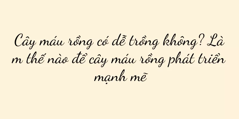 Cây máu rồng có dễ trồng không? Làm thế nào để cây máu rồng phát triển mạnh mẽ