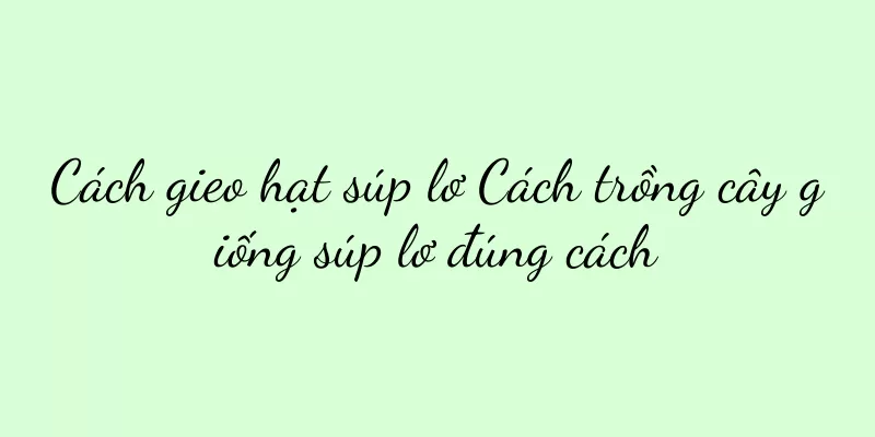 Cách gieo hạt súp lơ Cách trồng cây giống súp lơ đúng cách