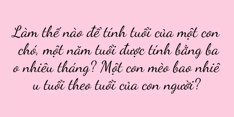 Làm thế nào để tính tuổi của một con chó, một năm tuổi được tính bằng bao nhiêu tháng? Một con mèo bao nhiêu tuổi theo tuổi của con người?