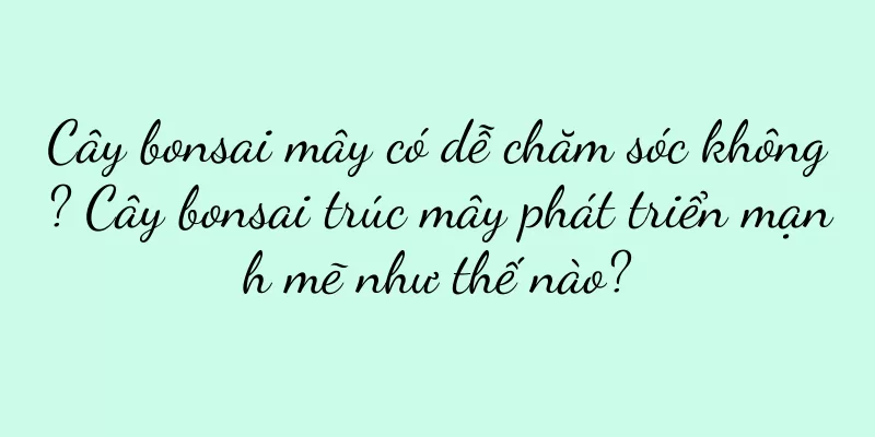 Cây bonsai mây có dễ chăm sóc không? Cây bonsai trúc mây phát triển mạnh mẽ như thế nào?