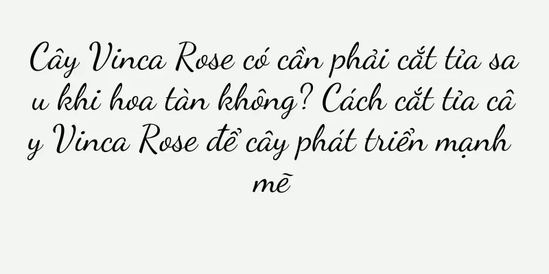 Cây Vinca Rose có cần phải cắt tỉa sau khi hoa tàn không? Cách cắt tỉa cây Vinca Rose để cây phát triển mạnh mẽ