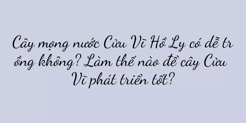 Cây mọng nước Cửu Vĩ Hồ Ly có dễ trồng không? Làm thế nào để cây Cửu Vĩ phát triển tốt?