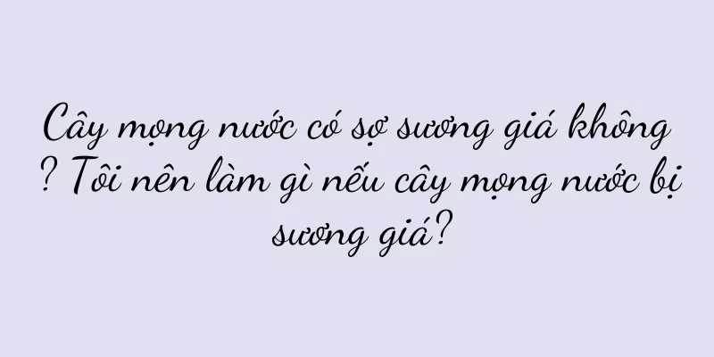Cây mọng nước có sợ sương giá không? Tôi nên làm gì nếu cây mọng nước bị sương giá?