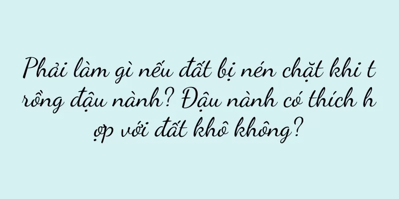 Phải làm gì nếu đất bị nén chặt khi trồng đậu nành? Đậu nành có thích hợp với đất khô không?