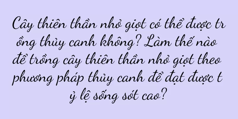 Cây thiên thần nhỏ giọt có thể được trồng thủy canh không? Làm thế nào để trồng cây thiên thần nhỏ giọt theo phương pháp thủy canh để đạt được tỷ lệ sống sót cao?