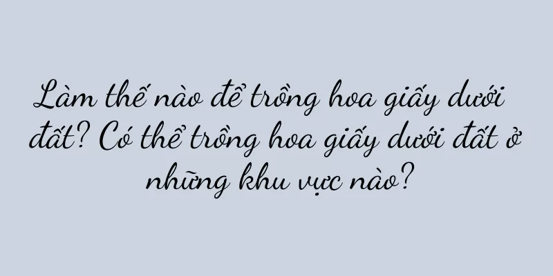 Làm thế nào để trồng hoa giấy dưới đất? Có thể trồng hoa giấy dưới đất ở những khu vực nào?
