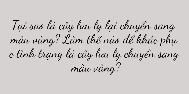 Tại sao lá cây lưu ly lại chuyển sang màu vàng? Làm thế nào để khắc phục tình trạng lá cây lưu ly chuyển sang màu vàng?