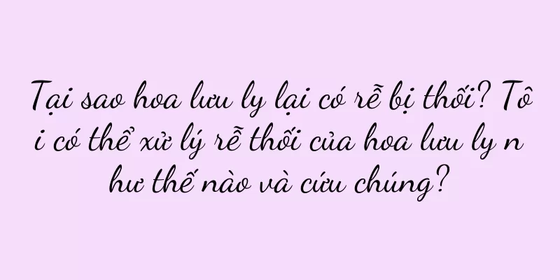 Tại sao hoa lưu ly lại có rễ bị thối? Tôi có thể xử lý rễ thối của hoa lưu ly như thế nào và cứu chúng?