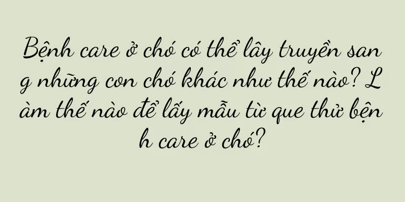 Bệnh care ở chó có thể lây truyền sang những con chó khác như thế nào? Làm thế nào để lấy mẫu từ que thử bệnh care ở chó?