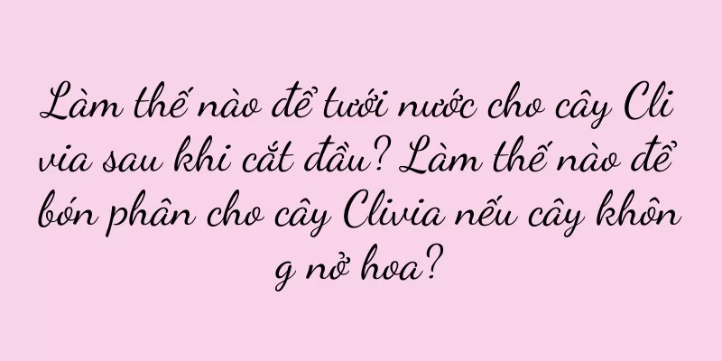 Làm thế nào để tưới nước cho cây Clivia sau khi cắt đầu? Làm thế nào để bón phân cho cây Clivia nếu cây không nở hoa?