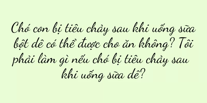 Chó con bị tiêu chảy sau khi uống sữa bột dê có thể được cho ăn không? Tôi phải làm gì nếu chó bị tiêu chảy sau khi uống sữa dê?