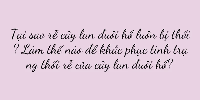 Tại sao rễ cây lan đuôi hổ luôn bị thối? Làm thế nào để khắc phục tình trạng thối rễ của cây lan đuôi hổ?