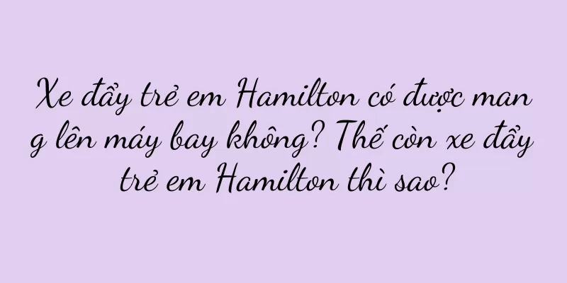 Xe đẩy trẻ em Hamilton có được mang lên máy bay không? Thế còn xe đẩy trẻ em Hamilton thì sao?