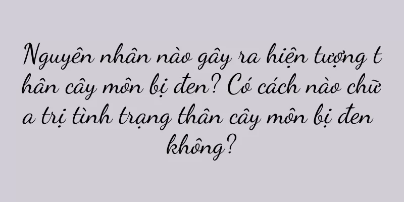 Nguyên nhân nào gây ra hiện tượng thân cây môn bị đen? Có cách nào chữa trị tình trạng thân cây môn bị đen không?