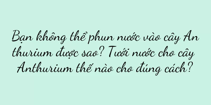 Bạn không thể phun nước vào cây Anthurium được sao? Tưới nước cho cây Anthurium thế nào cho đúng cách?