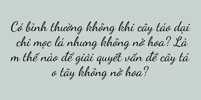 Có bình thường không khi cây táo dại chỉ mọc lá nhưng không nở hoa? Làm thế nào để giải quyết vấn đề cây táo tây không nở hoa?