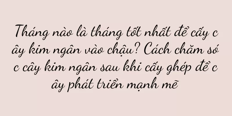 Tháng nào là tháng tốt nhất để cấy cây kim ngân vào chậu? Cách chăm sóc cây kim ngân sau khi cấy ghép để cây phát triển mạnh mẽ