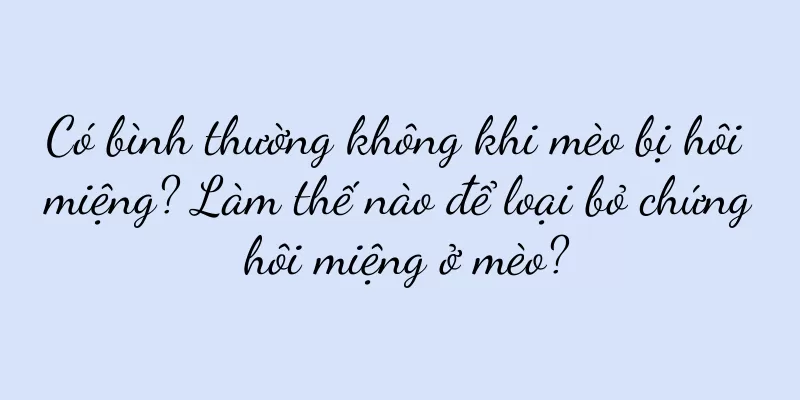 Có bình thường không khi mèo bị hôi miệng? Làm thế nào để loại bỏ chứng hôi miệng ở mèo?
