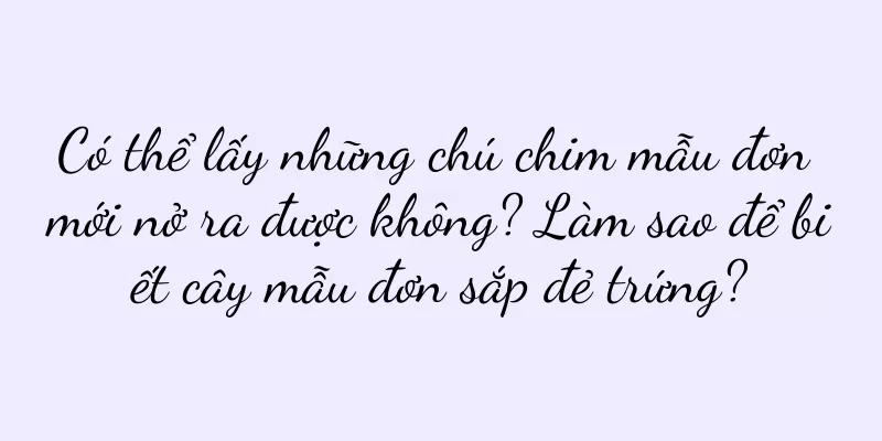 Có thể lấy những chú chim mẫu đơn mới nở ra được không? Làm sao để biết cây mẫu đơn sắp đẻ trứng?