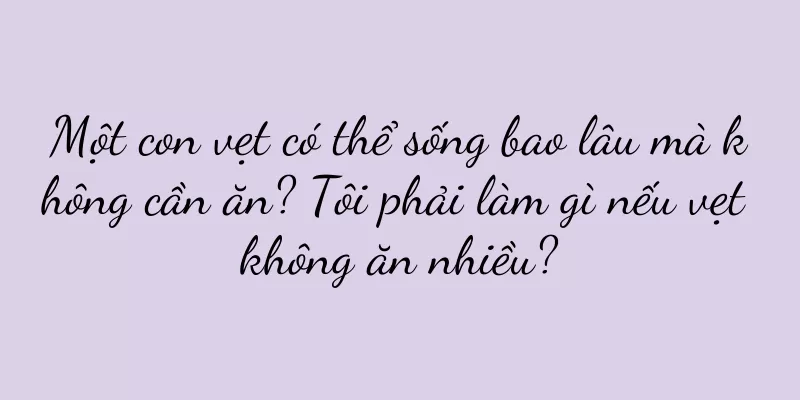 Một con vẹt có thể sống bao lâu mà không cần ăn? Tôi phải làm gì nếu vẹt không ăn nhiều?