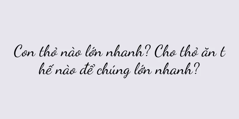Con thỏ nào lớn nhanh? Cho thỏ ăn thế nào để chúng lớn nhanh?