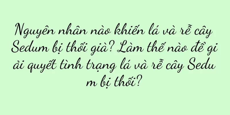 Nguyên nhân nào khiến lá và rễ cây Sedum bị thối già? Làm thế nào để giải quyết tình trạng lá và rễ cây Sedum bị thối?