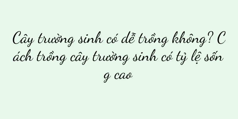 Cây trường sinh có dễ trồng không? Cách trồng cây trường sinh có tỷ lệ sống cao