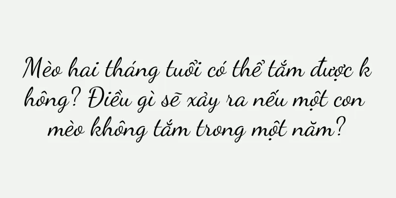 Mèo hai tháng tuổi có thể tắm được không? Điều gì sẽ xảy ra nếu một con mèo không tắm trong một năm?