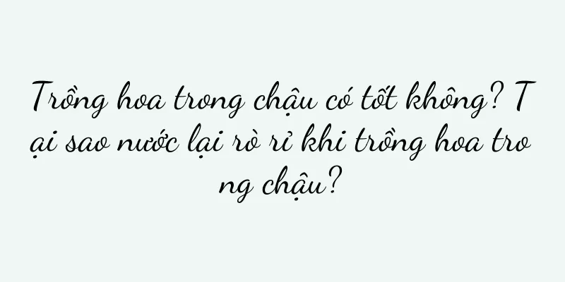 Trồng hoa trong chậu có tốt không? Tại sao nước lại rò rỉ khi trồng hoa trong chậu?