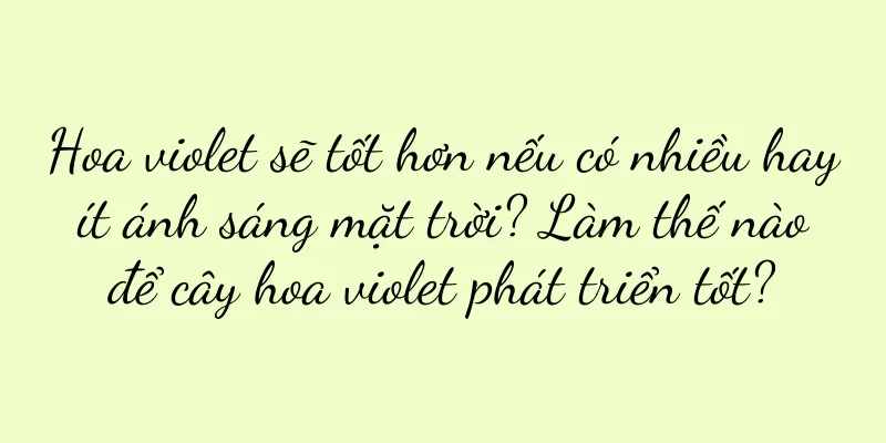 Hoa violet sẽ tốt hơn nếu có nhiều hay ít ánh sáng mặt trời? Làm thế nào để cây hoa violet phát triển tốt?
