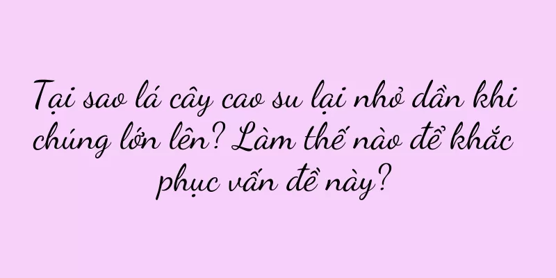 Tại sao lá cây cao su lại nhỏ dần khi chúng lớn lên? Làm thế nào để khắc phục vấn đề này?