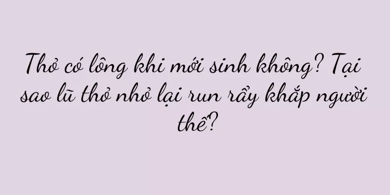 Thỏ có lông khi mới sinh không? Tại sao lũ thỏ nhỏ lại run rẩy khắp người thế?