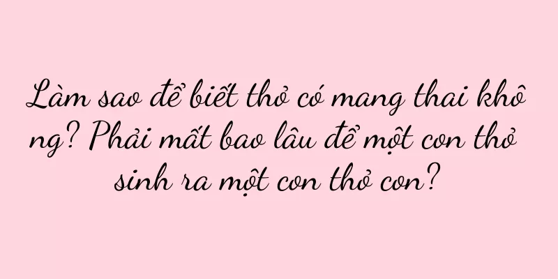 Làm sao để biết thỏ có mang thai không? Phải mất bao lâu để một con thỏ sinh ra một con thỏ con?