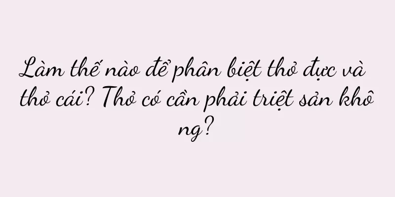 Làm thế nào để phân biệt thỏ đực và thỏ cái? Thỏ có cần phải triệt sản không?