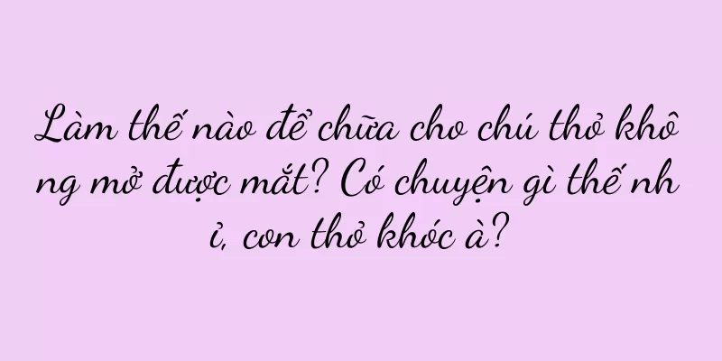 Làm thế nào để chữa cho chú thỏ không mở được mắt? Có chuyện gì thế nhỉ, con thỏ khóc à?